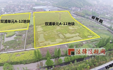 史上最高楼面起价地块 [有意思] - 法律法规网