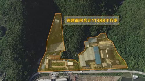 宁波鄞州区 张家山地块涉污违建项目多