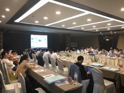 龙湾区瓯江标准海塘提升改造工程项目可行性研究报告召开审查会