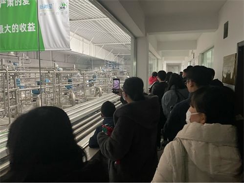 杭州网小记者走进牛奶工厂,解密牛奶生产