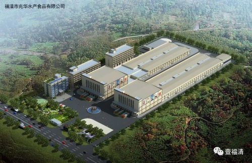总投资达240亿元 福清22个重大项目集中开工